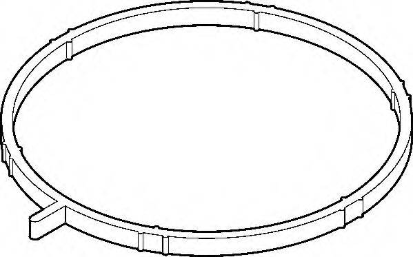 SEAT 06F 133 073 D Прокладка корпус впускного колектора