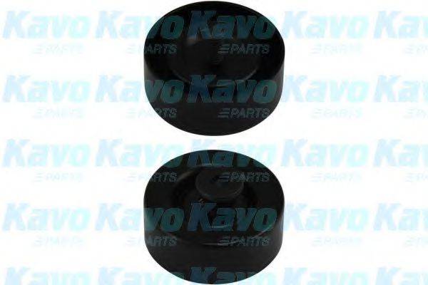 KAVO PARTS DIP3001 Паразитний / провідний ролик, полікліновий ремінь