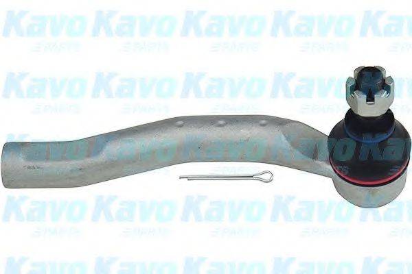 KAVO PARTS STE-9007