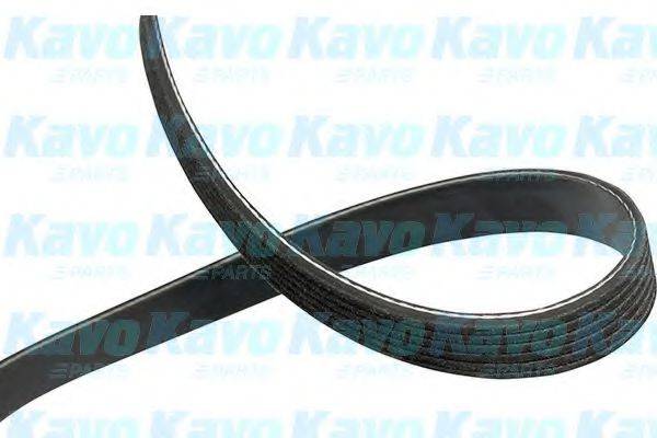 KAVO PARTS 6PK888 Полікліновий ремінь