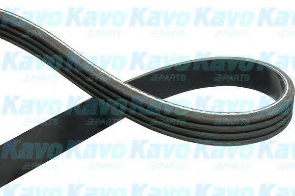 KAVO PARTS 4PK925 Полікліновий ремінь