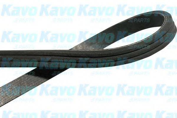 KAVO PARTS DMV9008 Полікліновий ремінь