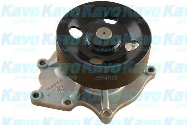 KAVO PARTS SW-5004