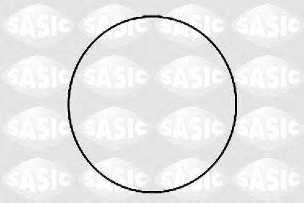 SASIC 1120780 Комплект прокладок, гільза циліндра
