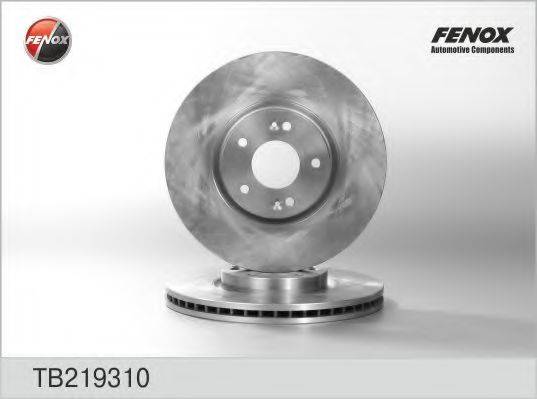 FENOX TB219310 гальмівний диск