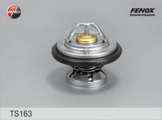 FENOX TS163 Термостат, охолоджуюча рідина