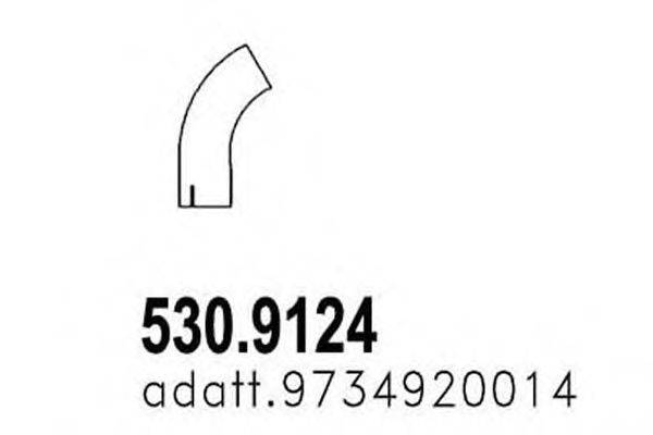 ASSO 530.9124