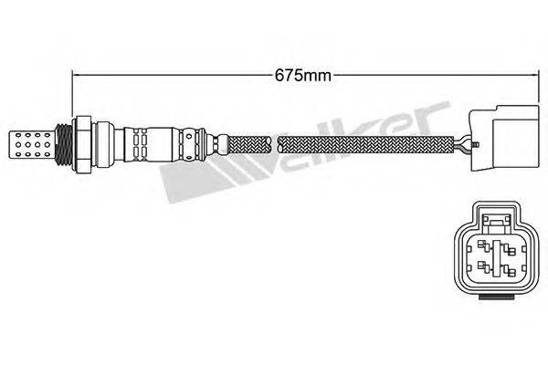 WALKER PRODUCTS 250-24932