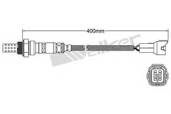 WALKER PRODUCTS 250-24338