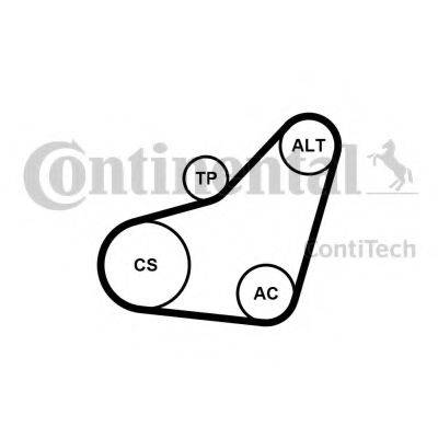 CONTITECH 6PK800K1