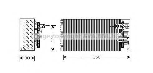 PRASCO PRV041