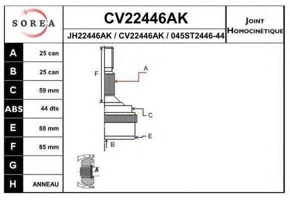 EAI CV22446AK