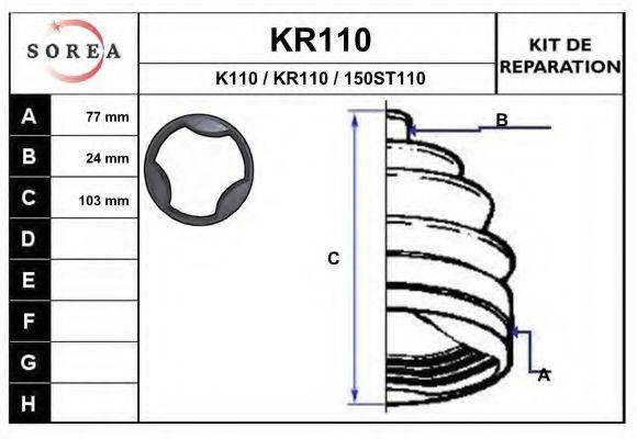 EAI KR110