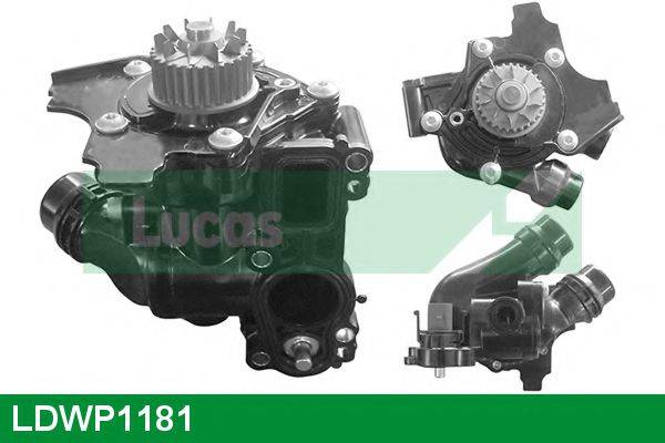 LUCAS ENGINE DRIVE LDWP1181 Водяний насос