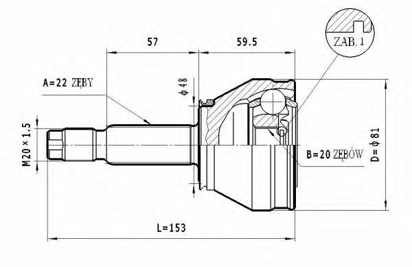 STATIM C174 Шарнірний комплект, приводний вал