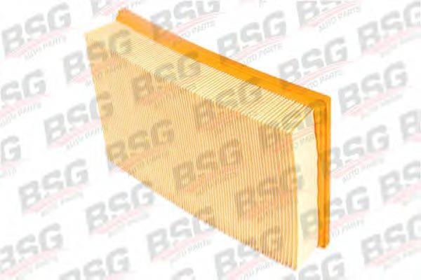 BSG BSG30135004 Повітряний фільтр