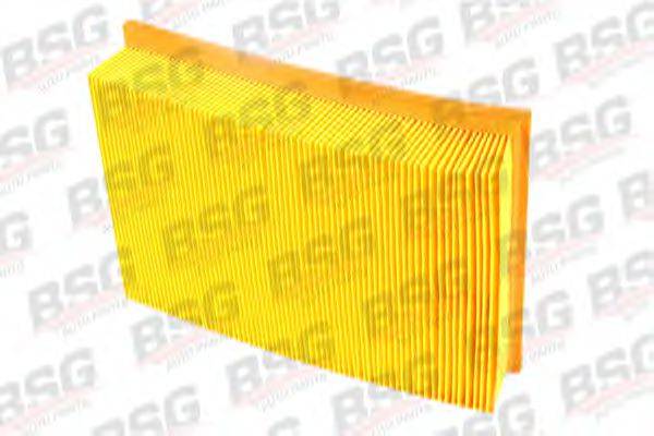 BSG BSG30135009 Повітряний фільтр