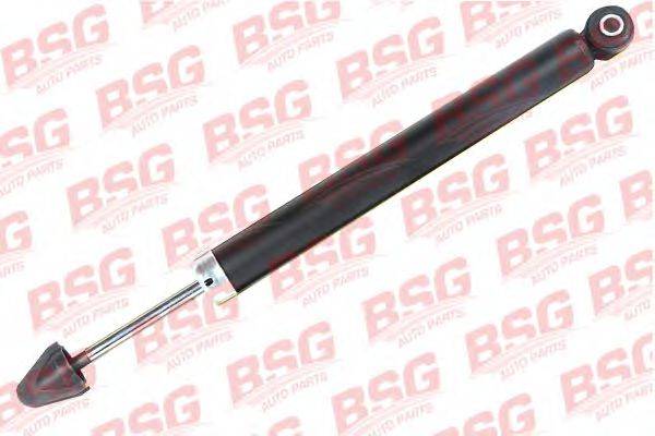 BSG BSG 30-300-022