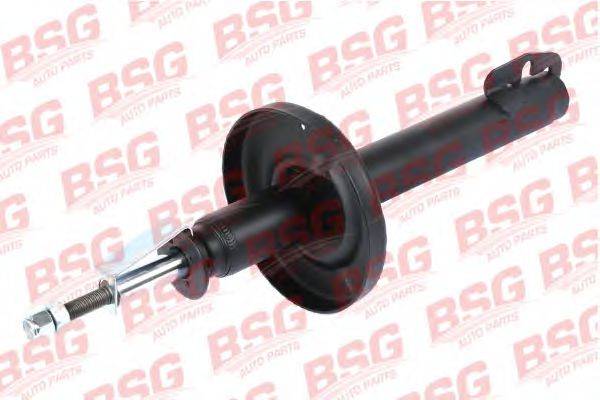 BSG BSG 30-300-025