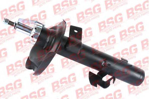 BSG BSG 30-300-032