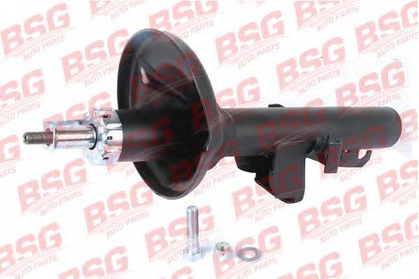 BSG BSG 30-300-036