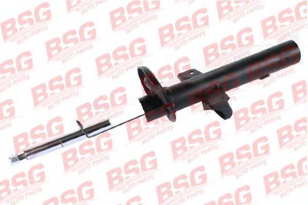 BSG BSG 30-300-040