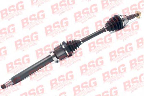 BSG BSG 30-350-007