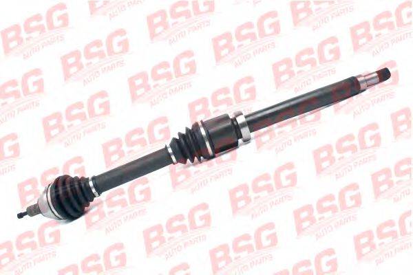 BSG BSG 30-350-009