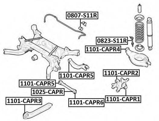 ASVA 1101-CAPR6