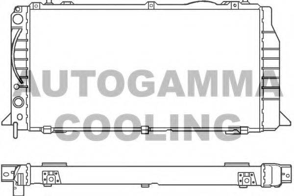 AUTOGAMMA 100048 Радіатор, охолодження двигуна