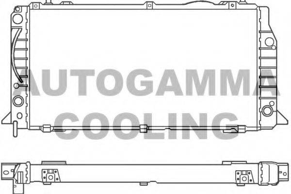AUTOGAMMA 100049 Радіатор, охолодження двигуна