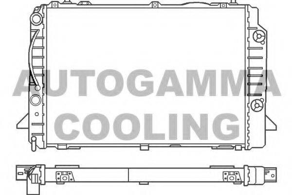 AUTOGAMMA 100053 Радіатор, охолодження двигуна