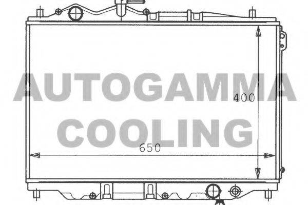 AUTOGAMMA 100498 Радіатор, охолодження двигуна