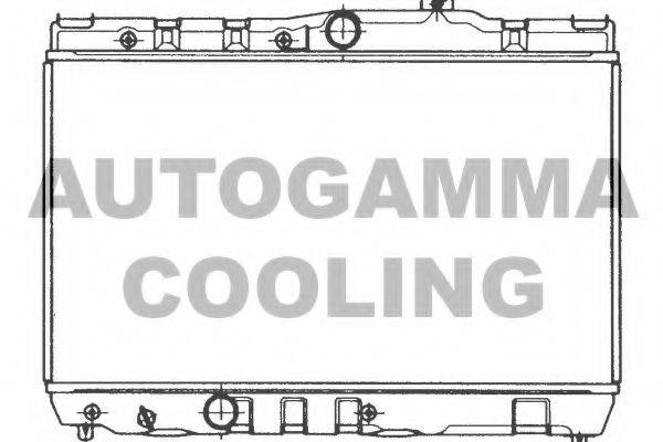 AUTOGAMMA 101002 Радіатор, охолодження двигуна