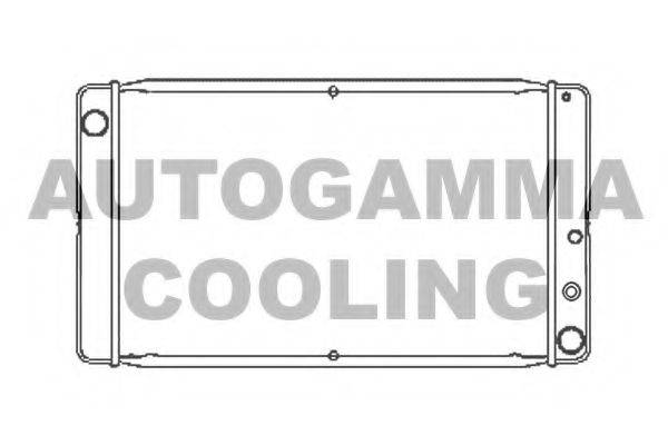 AUTOGAMMA 101103 Радіатор, охолодження двигуна