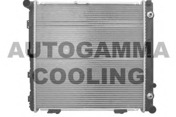 AUTOGAMMA 102002 Радіатор, охолодження двигуна