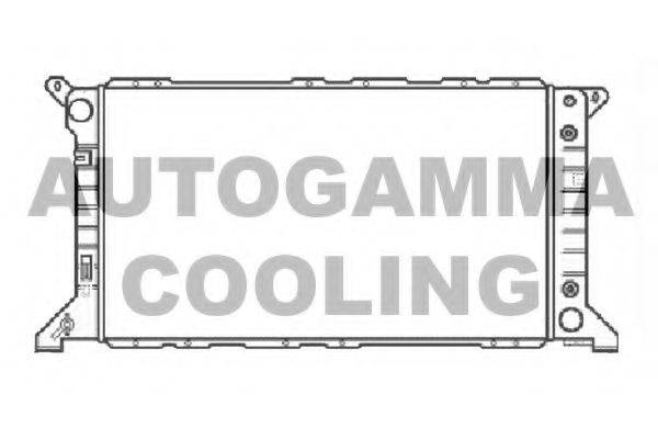 AUTOGAMMA 102091 Радіатор, охолодження двигуна