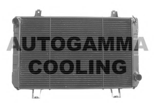 AUTOGAMMA 102095 Радіатор, охолодження двигуна