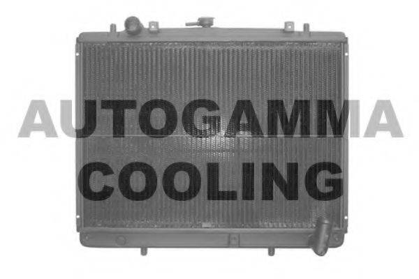 AUTOGAMMA 102211 Радіатор, охолодження двигуна