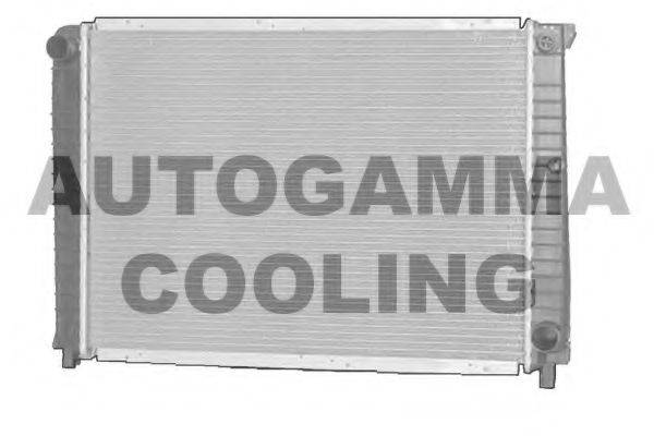 AUTOGAMMA 102385 Радіатор, охолодження двигуна