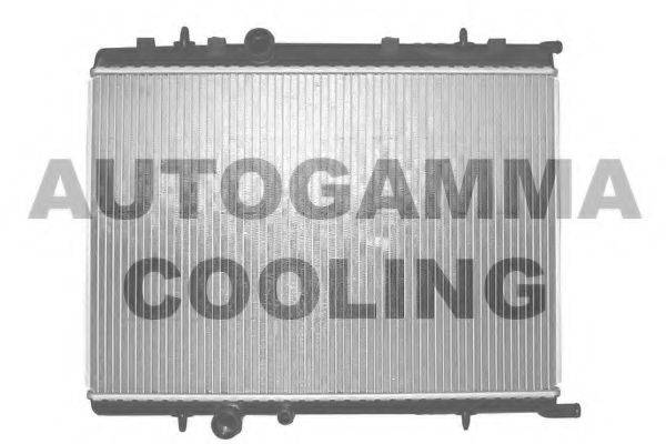 AUTOGAMMA 103172 Радіатор, охолодження двигуна