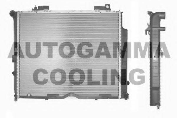 AUTOGAMMA 104317 Радіатор, охолодження двигуна