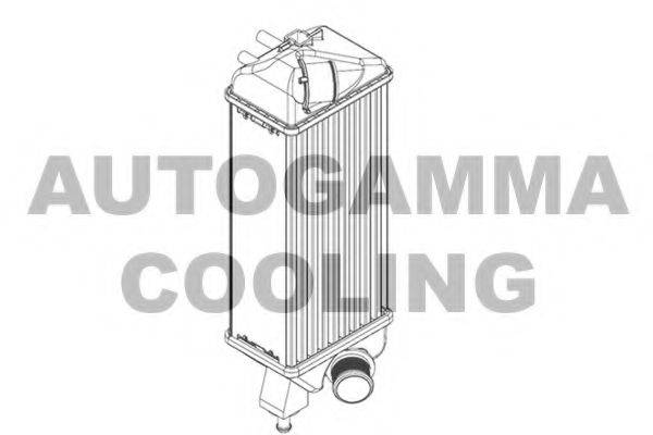 AUTOGAMMA 107451 Інтеркулер