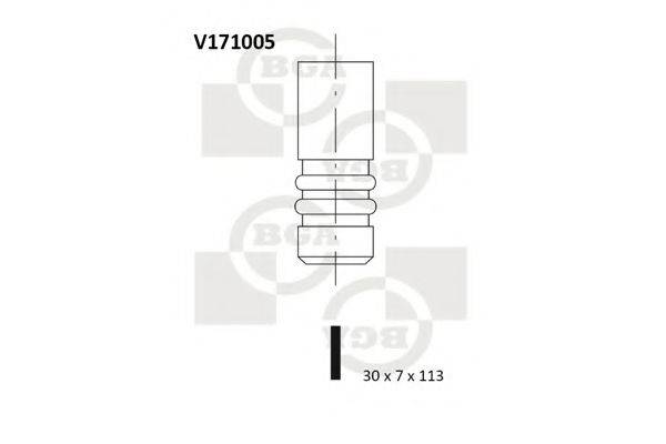 BGA V171005 Впускний клапан