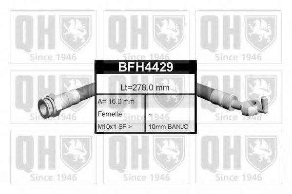 QUINTON HAZELL BFH4429