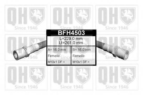 QUINTON HAZELL BFH4503