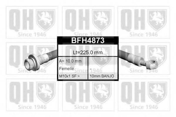 QUINTON HAZELL BFH4873 Гальмівний шланг