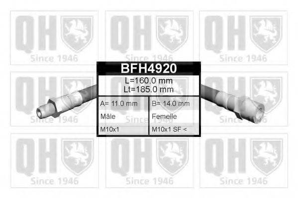 QUINTON HAZELL BFH4920 Гальмівний шланг